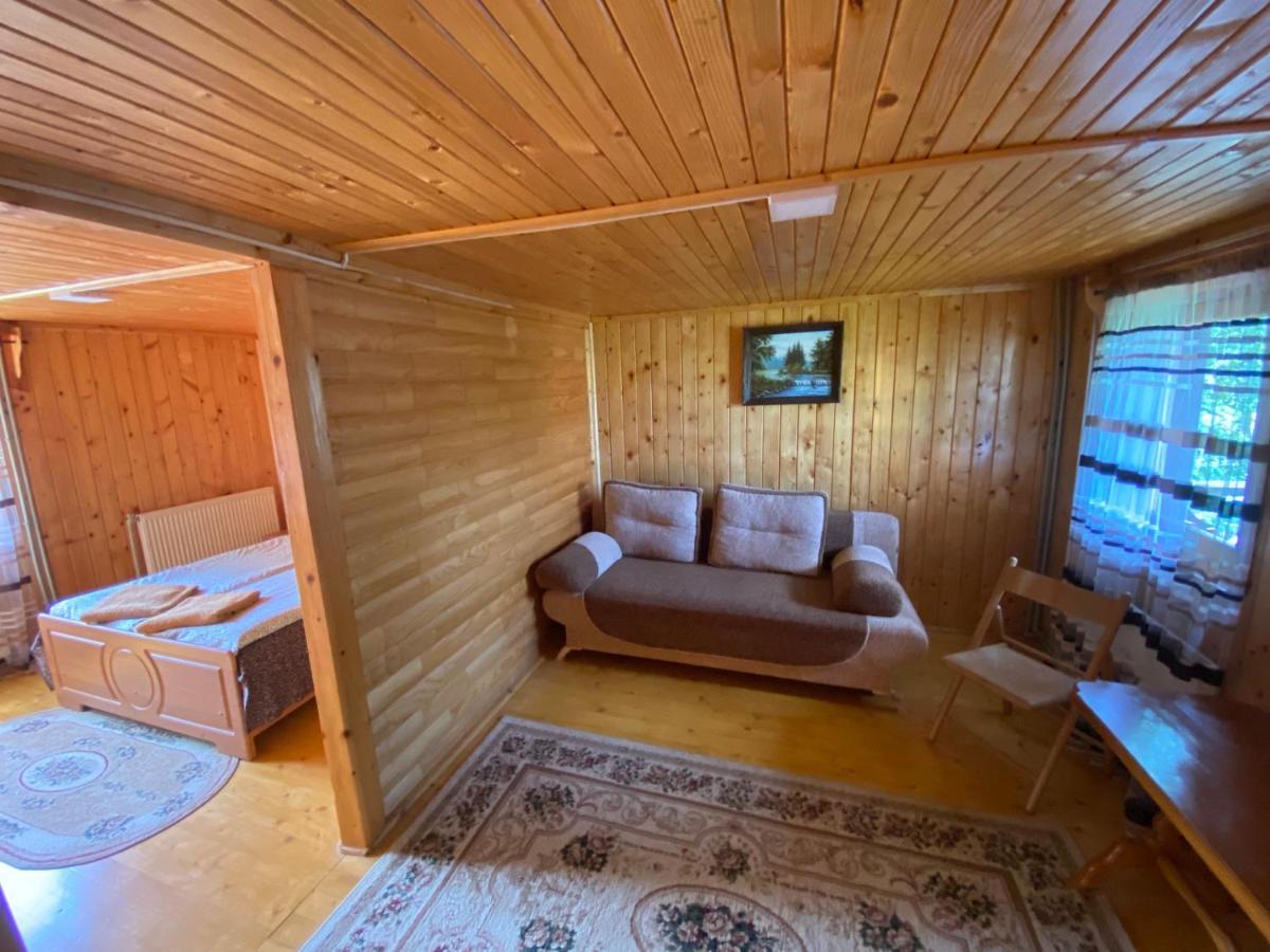 Pid Playem Villa Volovets Buitenkant foto