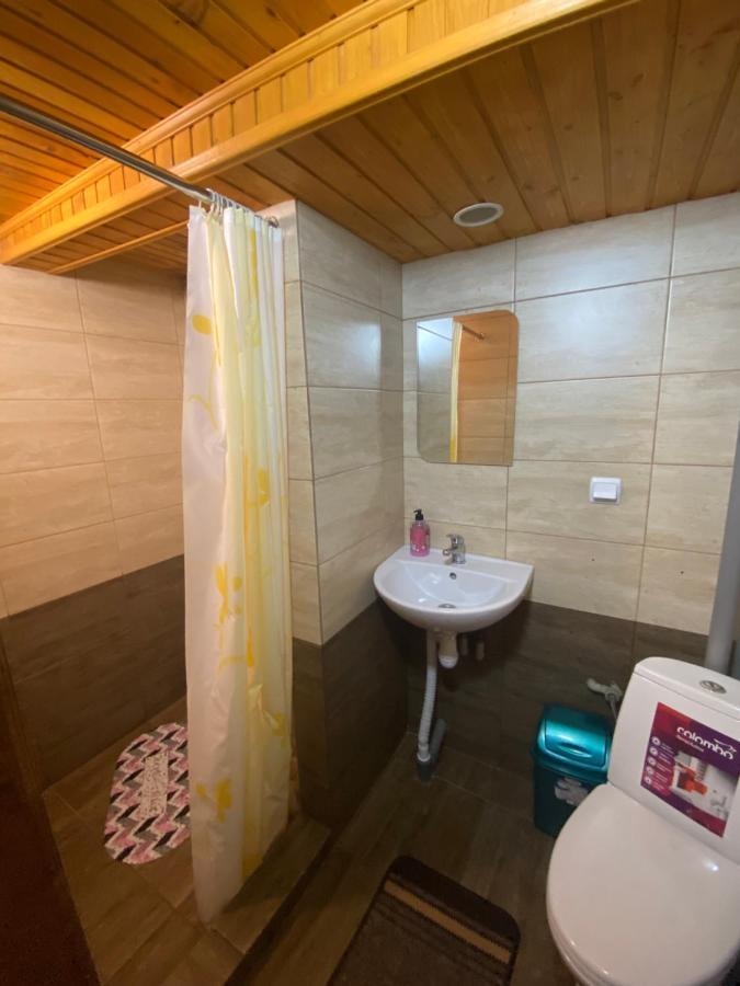 Pid Playem Villa Volovets Buitenkant foto