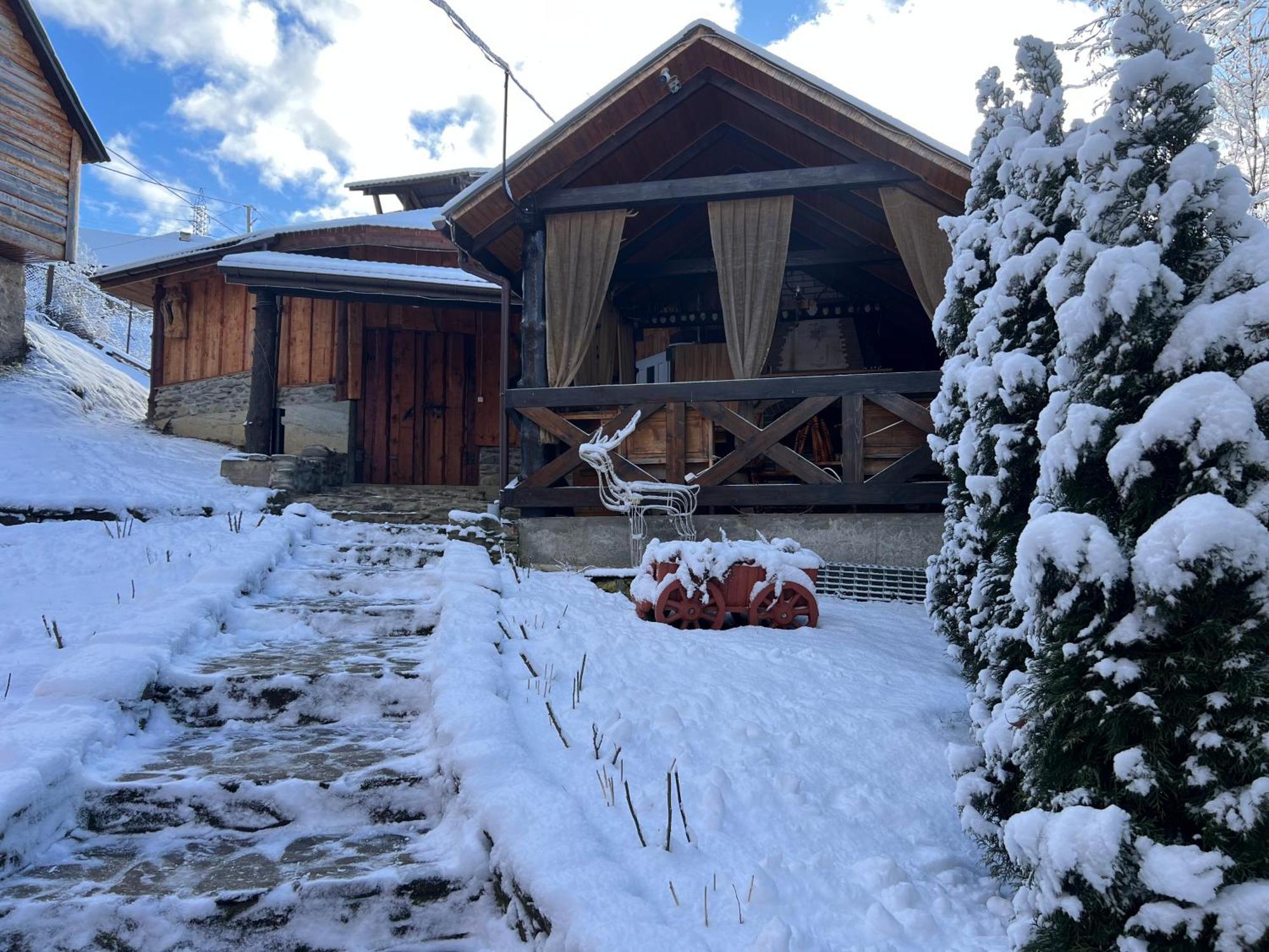 Pid Playem Villa Volovets Buitenkant foto