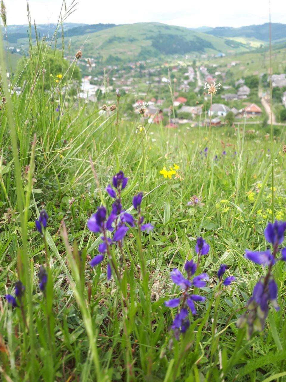 Pid Playem Villa Volovets Buitenkant foto