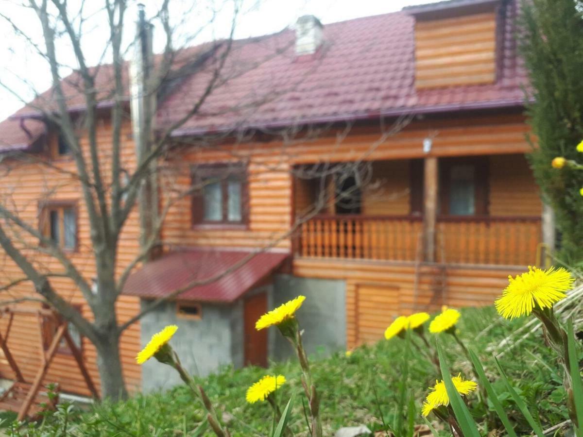 Pid Playem Villa Volovets Buitenkant foto
