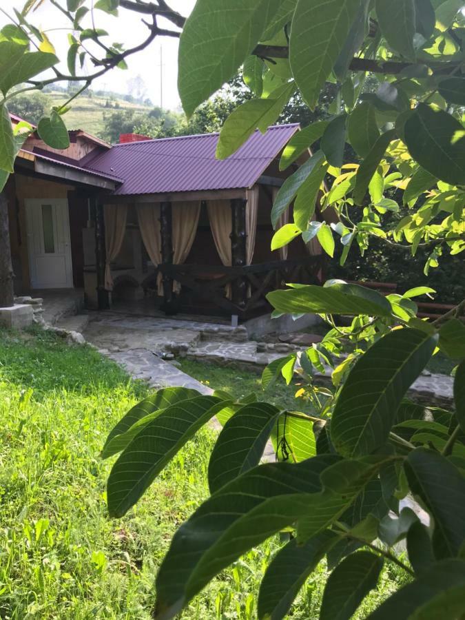 Pid Playem Villa Volovets Buitenkant foto